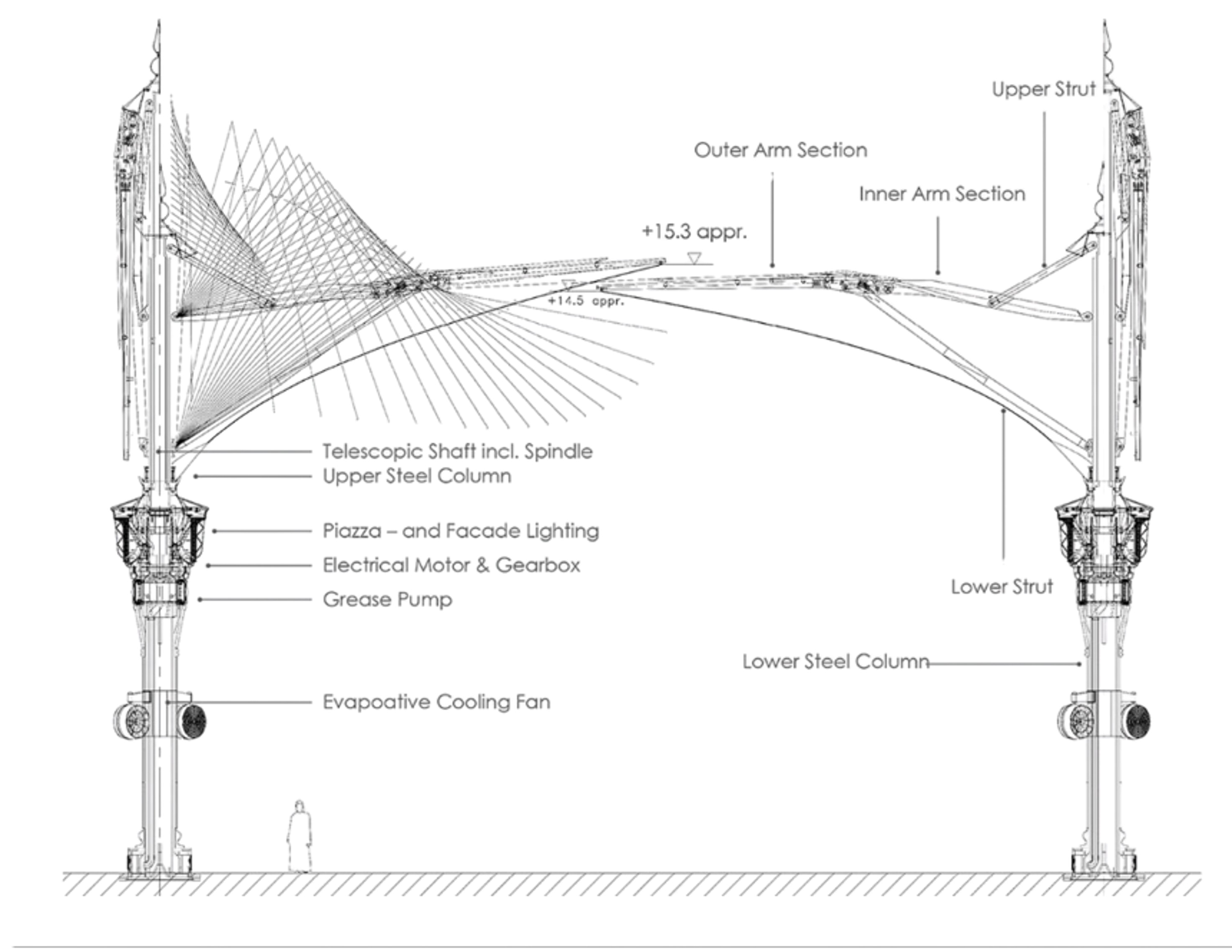 Picture4.jpg